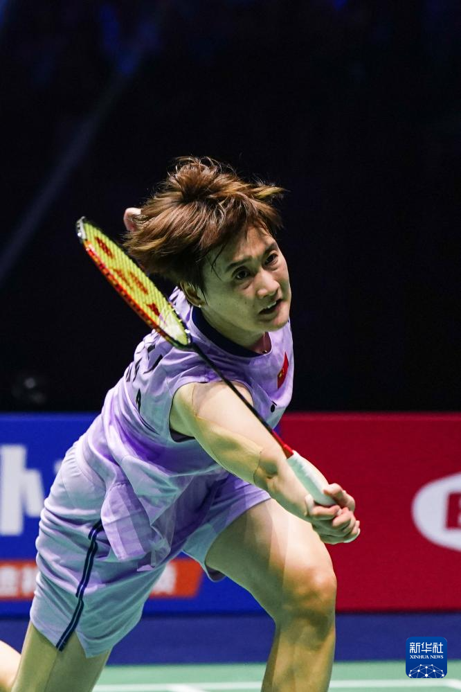 法律专业性 法律专业性