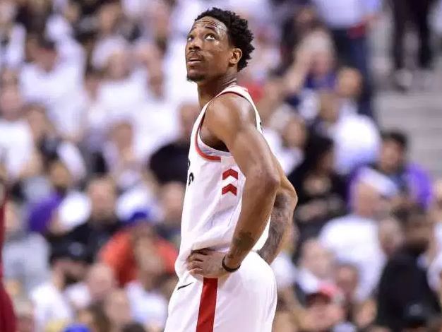 不仅提供了 不仅提供了