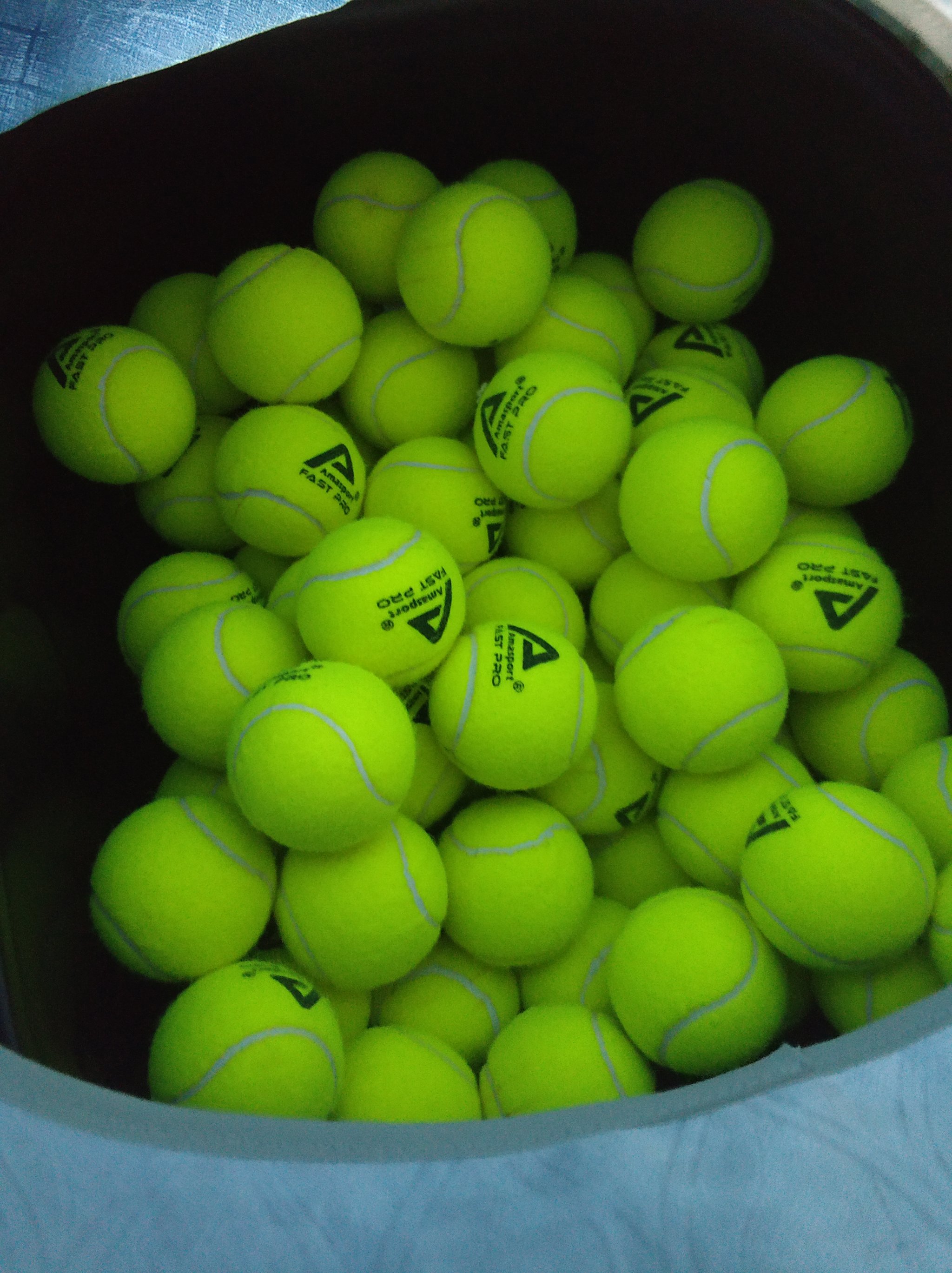 日本职棒 日本职棒